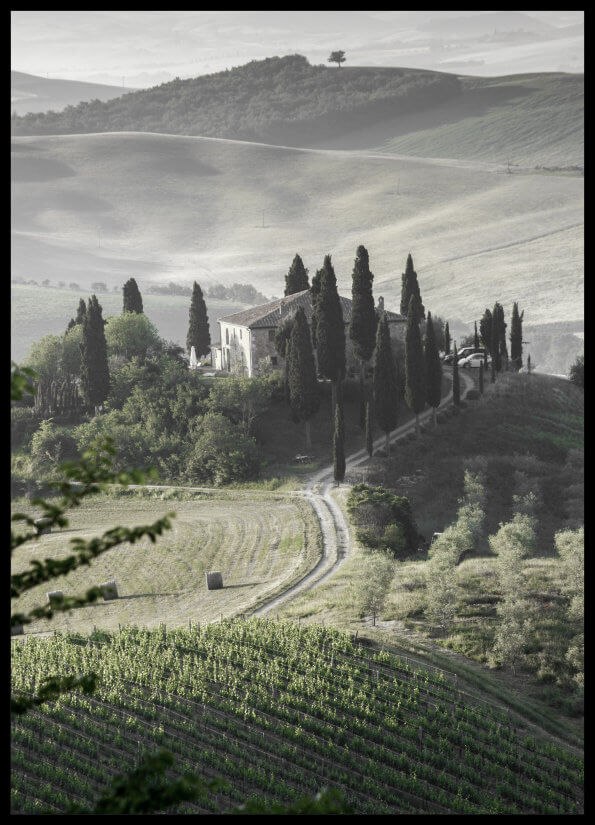 foto plakat - Tuscan morning