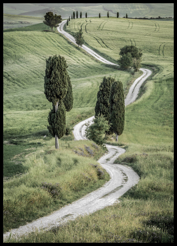 foto plakat - road in Tuscany