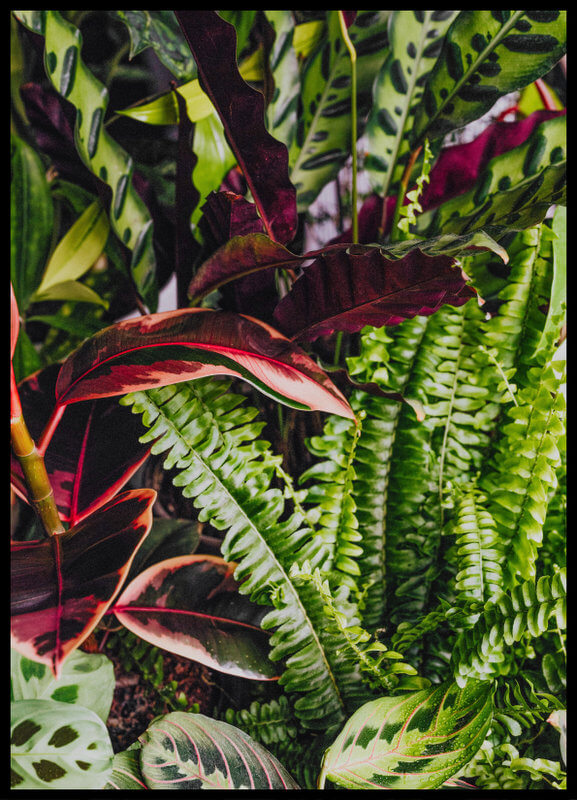 plakat foto - mix kwiatów