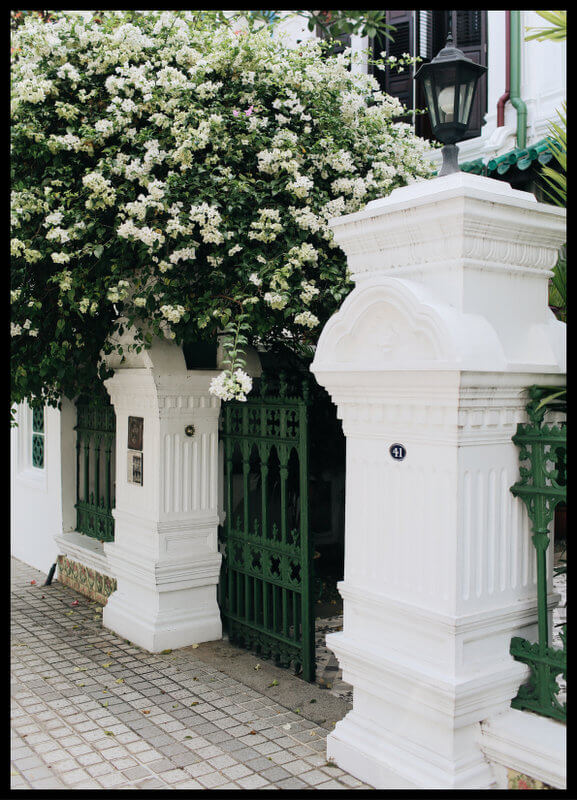 plakat foto - jaśmin nad bramą