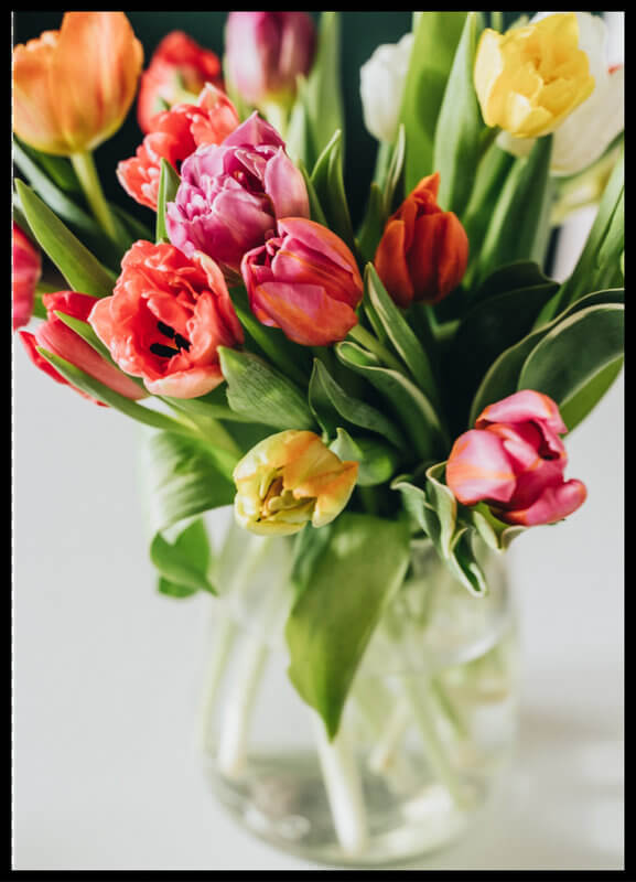 plakat foto - kolorowe tulipany II
