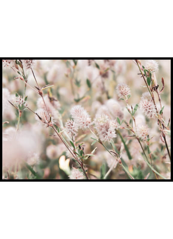 plakat foto - kończyna