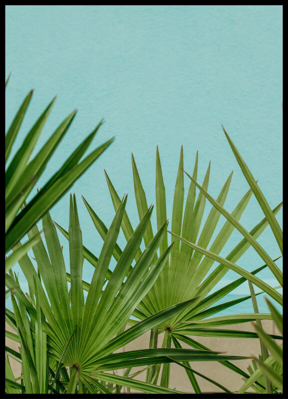 plakat foto - niebieska ściana i palmy