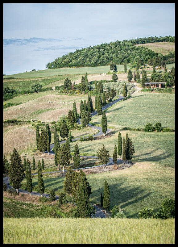 plakat foto - Tuscany landscape