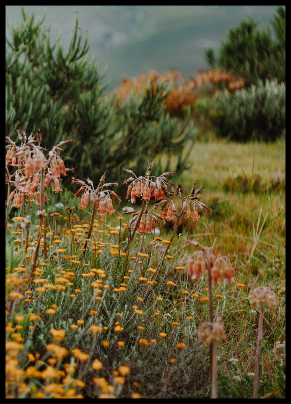 plakat foto - letni krajobraz II