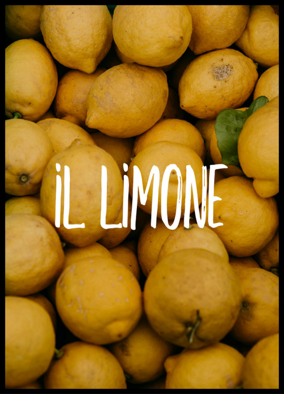 plakat foto - il limone