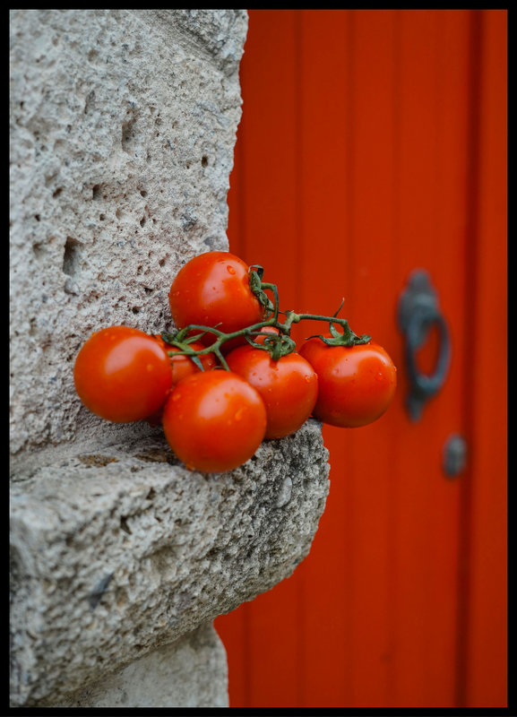plakat foto - pomidory
